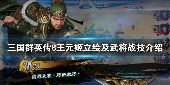 三国群英传8王元姬技能是什么