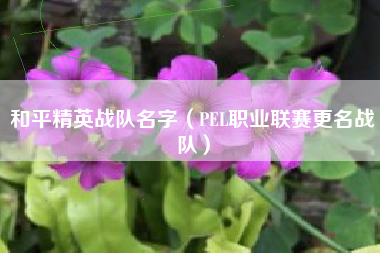 和平精英战队名字（PEL职业联赛更名战队）