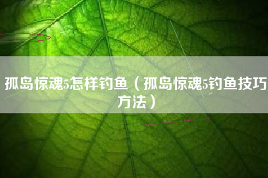 孤岛惊魂5怎样钓鱼（孤岛惊魂5钓鱼技巧方法）