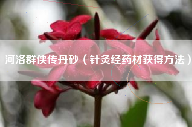 河洛群侠传丹砂（针灸经药材获得方法）