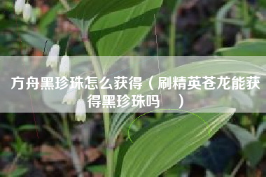 方舟黑珍珠怎么获得（刷精英苍龙能获得黑珍珠吗	）