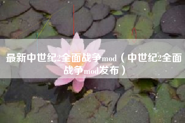 最新中世纪2全面战争mod（中世纪2全面战争mod发布）