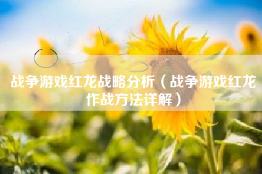 战争游戏红龙战略分析（战争游戏红龙作战方法详解）