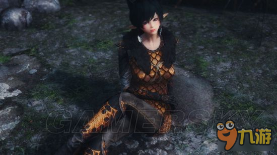 《上古卷轴5》美女随从MOD大全第二弹 美女随从MOD合集