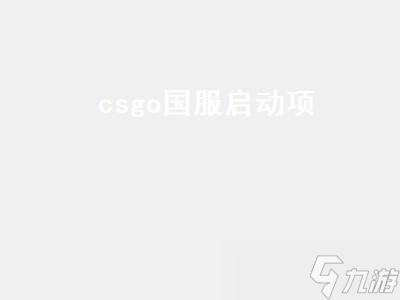 csgo国服启动项（csgo国服启动项代码）