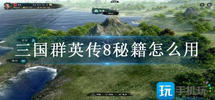 三国群英传8秘籍怎么用