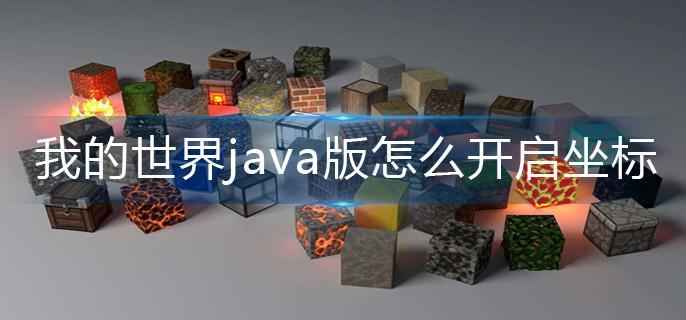 我的世界java版怎么开启坐标-坐标开启方法