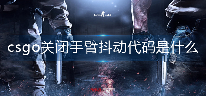 csgo关闭手臂抖动代码是什么-关闭手臂抖动代码分享