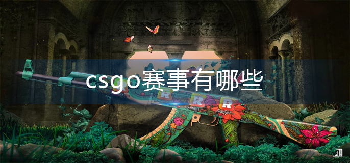 csgo赛事有哪些-赛事大全