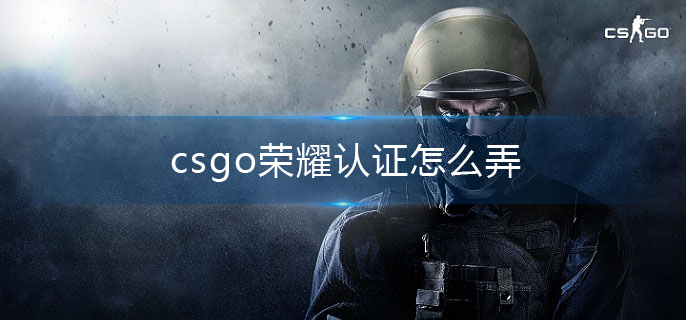 csgo荣耀认证怎么弄