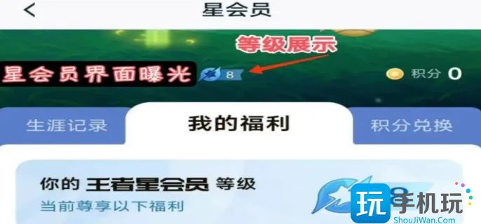 王者荣耀星会员15级价格预测