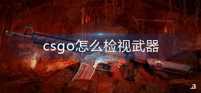 csgo怎么检视武器-检视武器方法