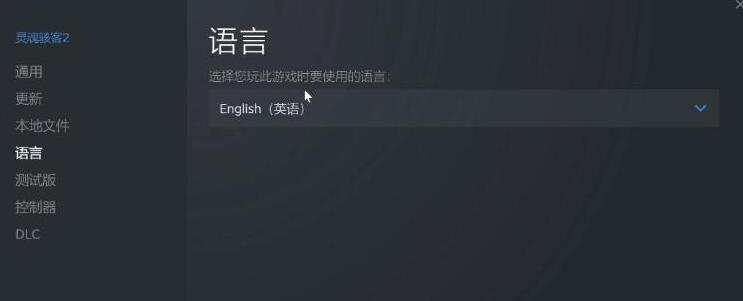 灵魂骇客2怎么设置中文-中文设置方法