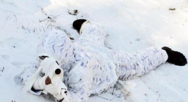 绝地求生雪地地图是真的吗_绝地求生雪地地图即将上线