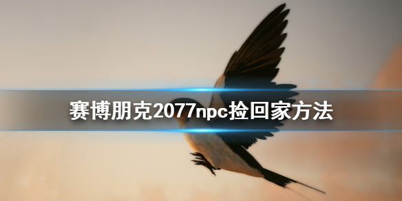 赛博朋克2077npc捡回家方法