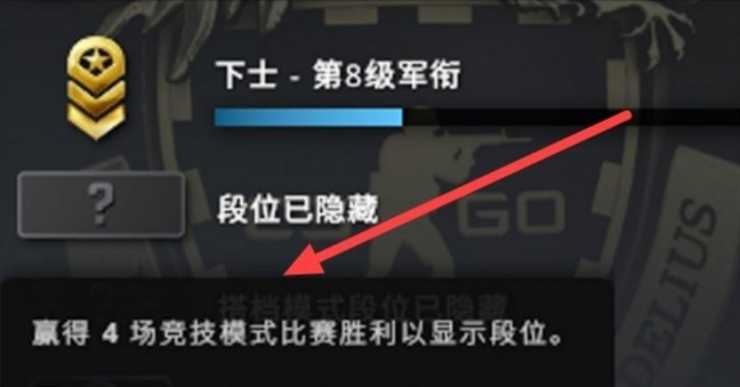 csgo赢了很多把为什么不显示段位？